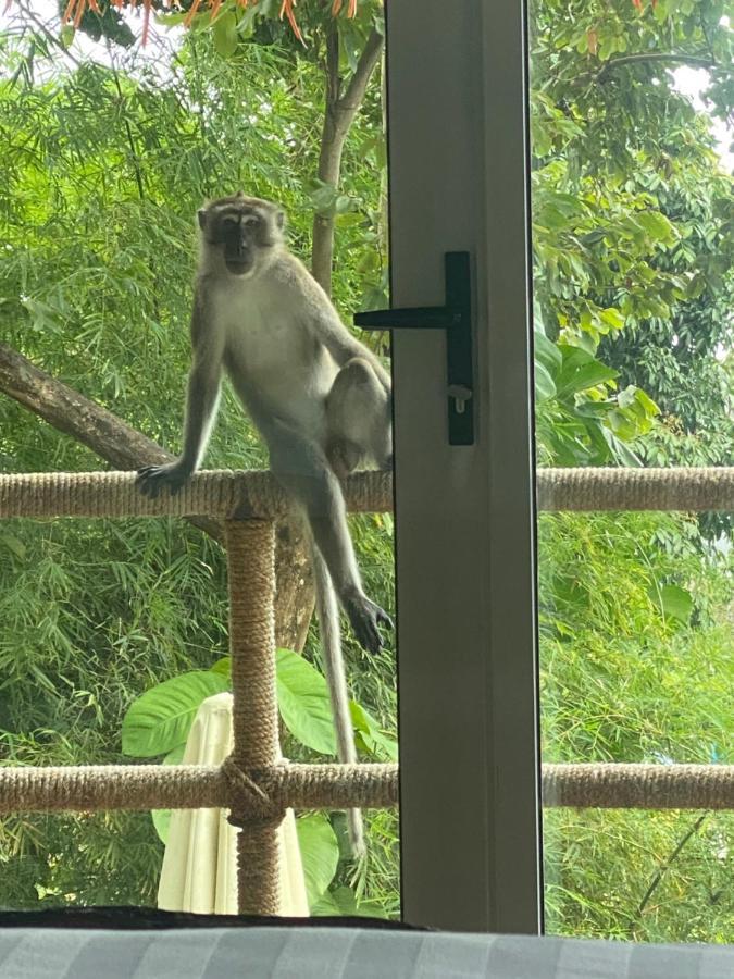 Myrus Resort Langkawi Pantai Cenang  Eksteriør bilde